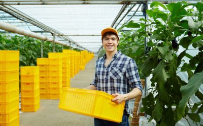 Comment chauffer gratuitement vos serres ?
