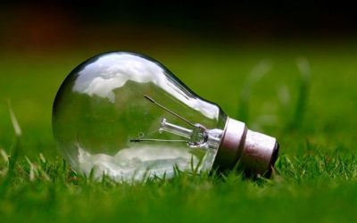 Les effets positifs des bâtiments écologiques sur la santé des occupants