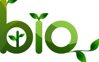 L’essor du bio et du clean label dans les compléments alimentaires