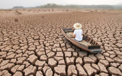Les changements climatiques et migrations en Afrique