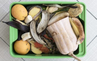 Les déchets alimentaires : une urgence collective