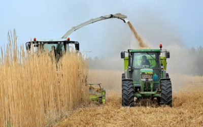 Biocarburants : quelles sont les alternatives disponibles ?