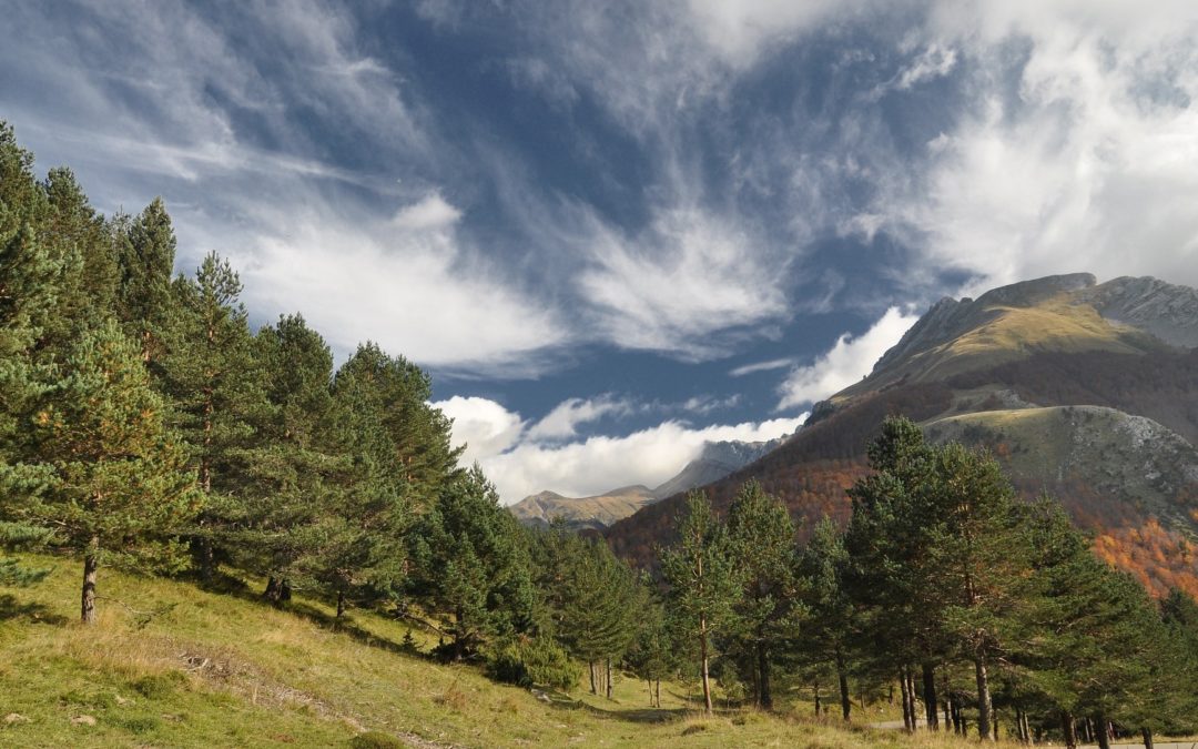 Pyrénées - les menaces du réchauffement sur la biodiversité