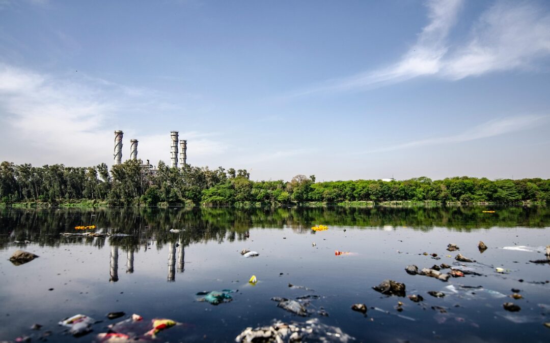 Pollutions : où en sommes-nous vraiment ?