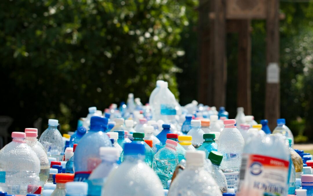 Traitement des déchets, un enjeu environnemental encore sous-estimé